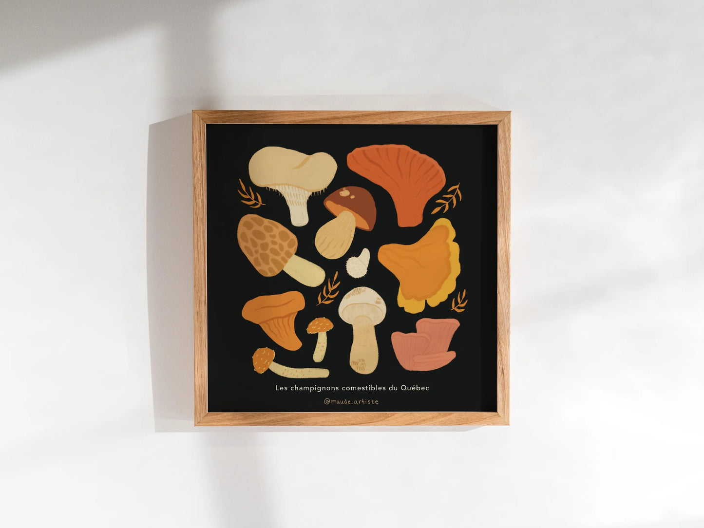 Affiche d'illustration 8x8 - Champignons comestibles du Québec