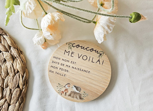 Pastille de naissance couleurs- Coucou me voilà – Petit hérisson