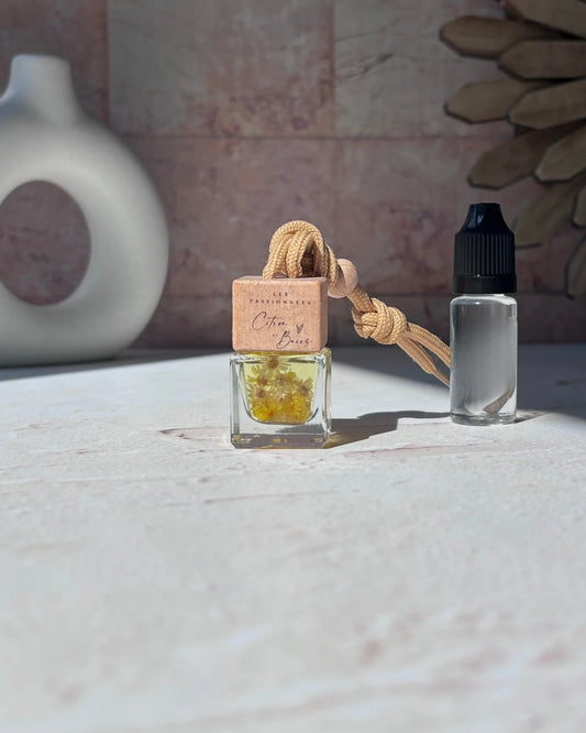 Diffuseur à voiture - Citron & Baies