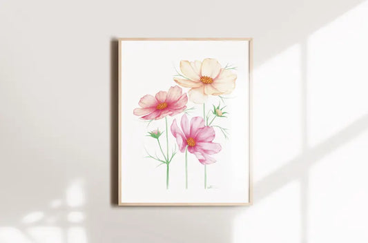 Affiche - Fleurs de cosmos