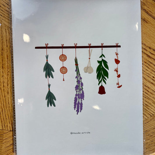 Affiche d'illustration 8x10 - Herbes séchées et fleurs suspendues