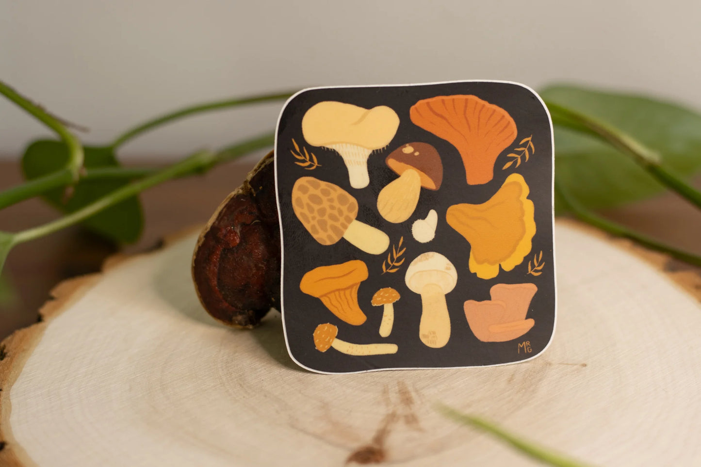 Autocollant en vinyle durable