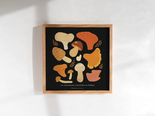 Affiche d'illustration 8x8 - Champignons comestibles du Québec