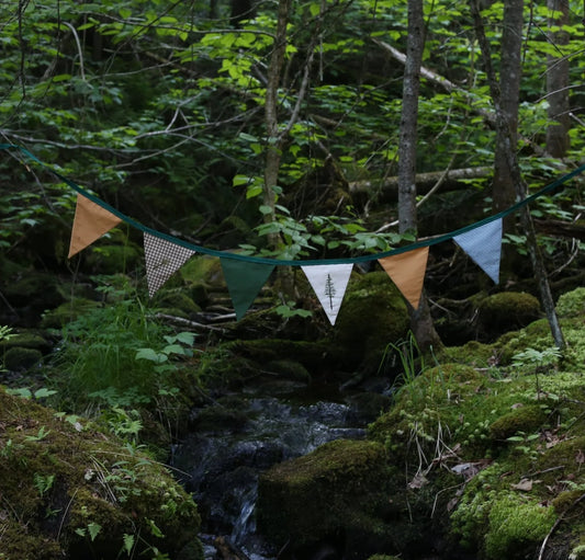 Forêt d'épinettes (6 fanions)