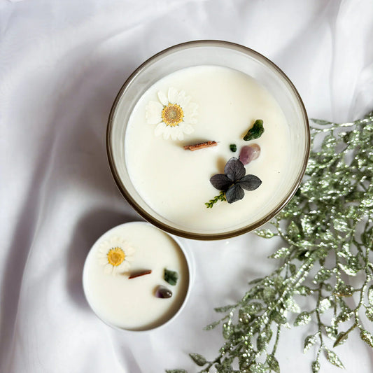 Bougie Mûre enchantée 4 oz