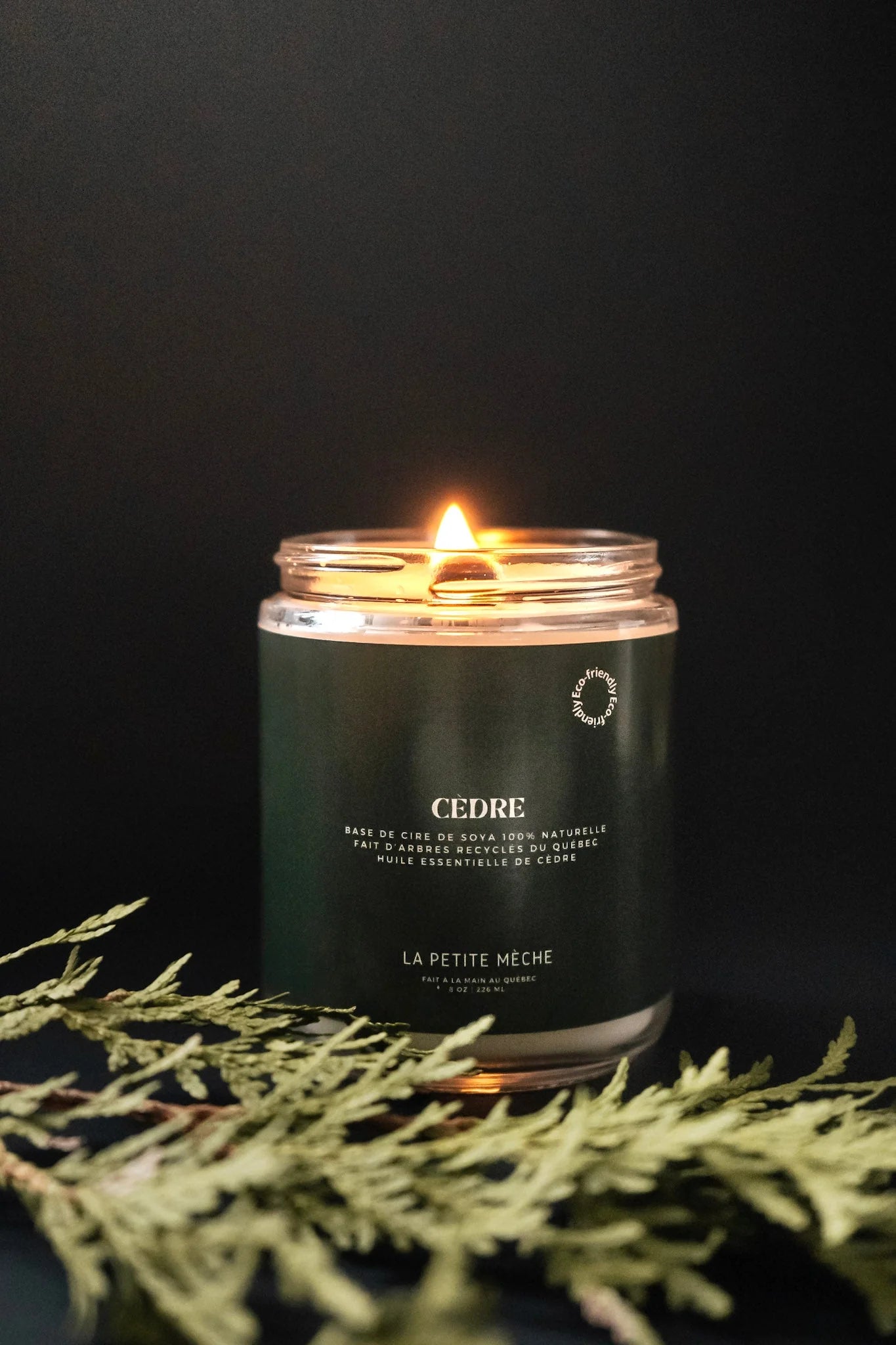 Bougie - Cèdre