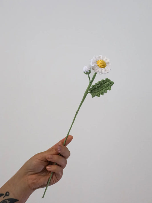 Marguerite + Bourgeon