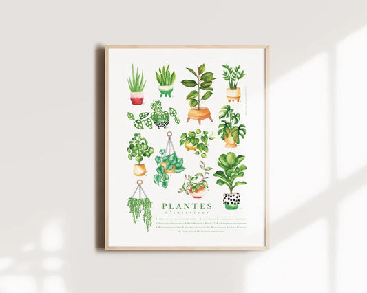 Affiche - Botanique 12 plantes d'intérieur